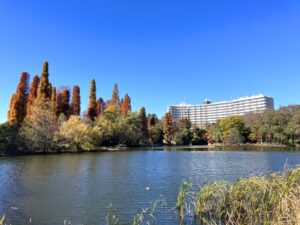 井の頭公園駅（三鷹市）周辺にある心療内科・メンタルクリニック 