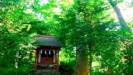 氷川台駅（練馬区）周辺にある心療内科・メンタルクリニック 