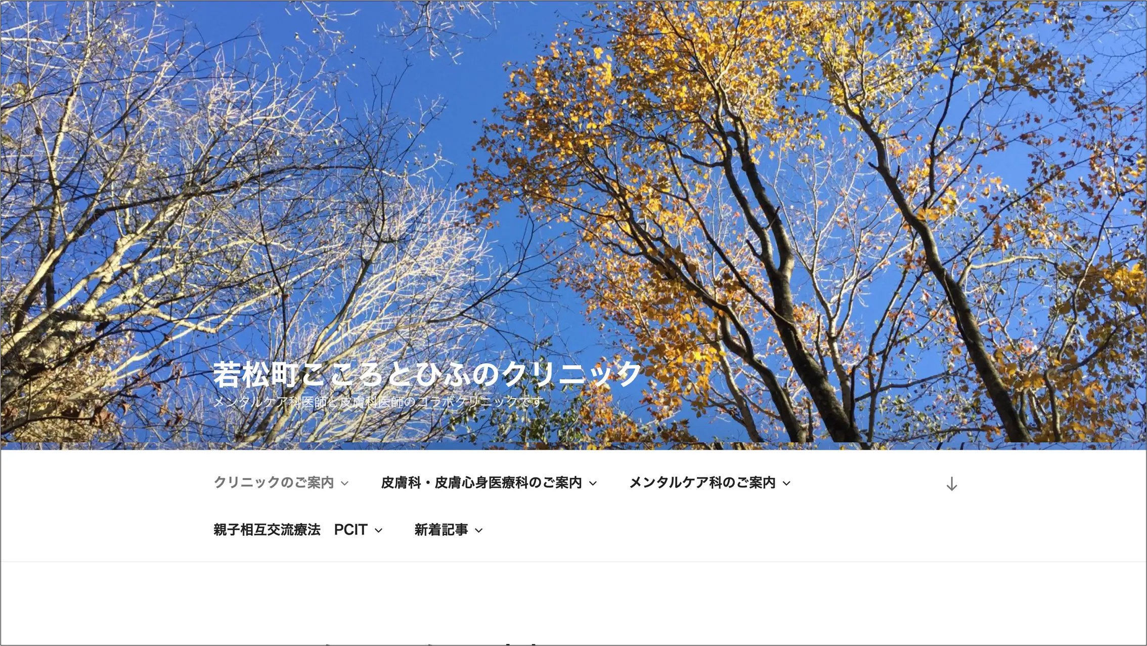 若松町こころとひふのクリニック