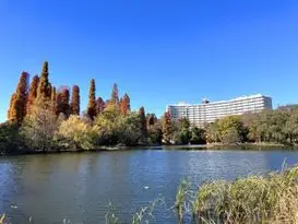 井の頭公園駅（三鷹市）周辺にある心療内科・メンタルクリニック